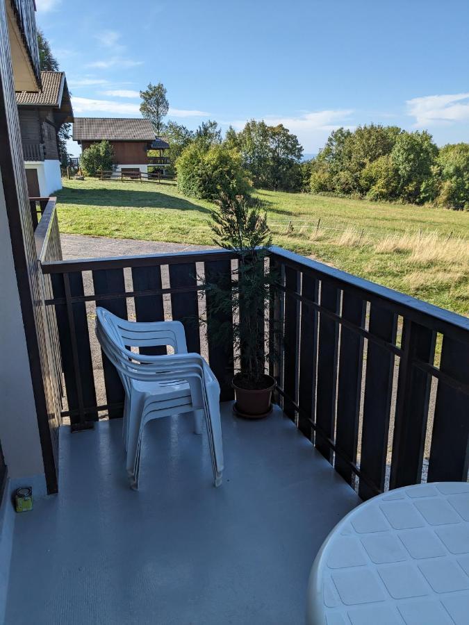 Au Coeur De La Montagne *