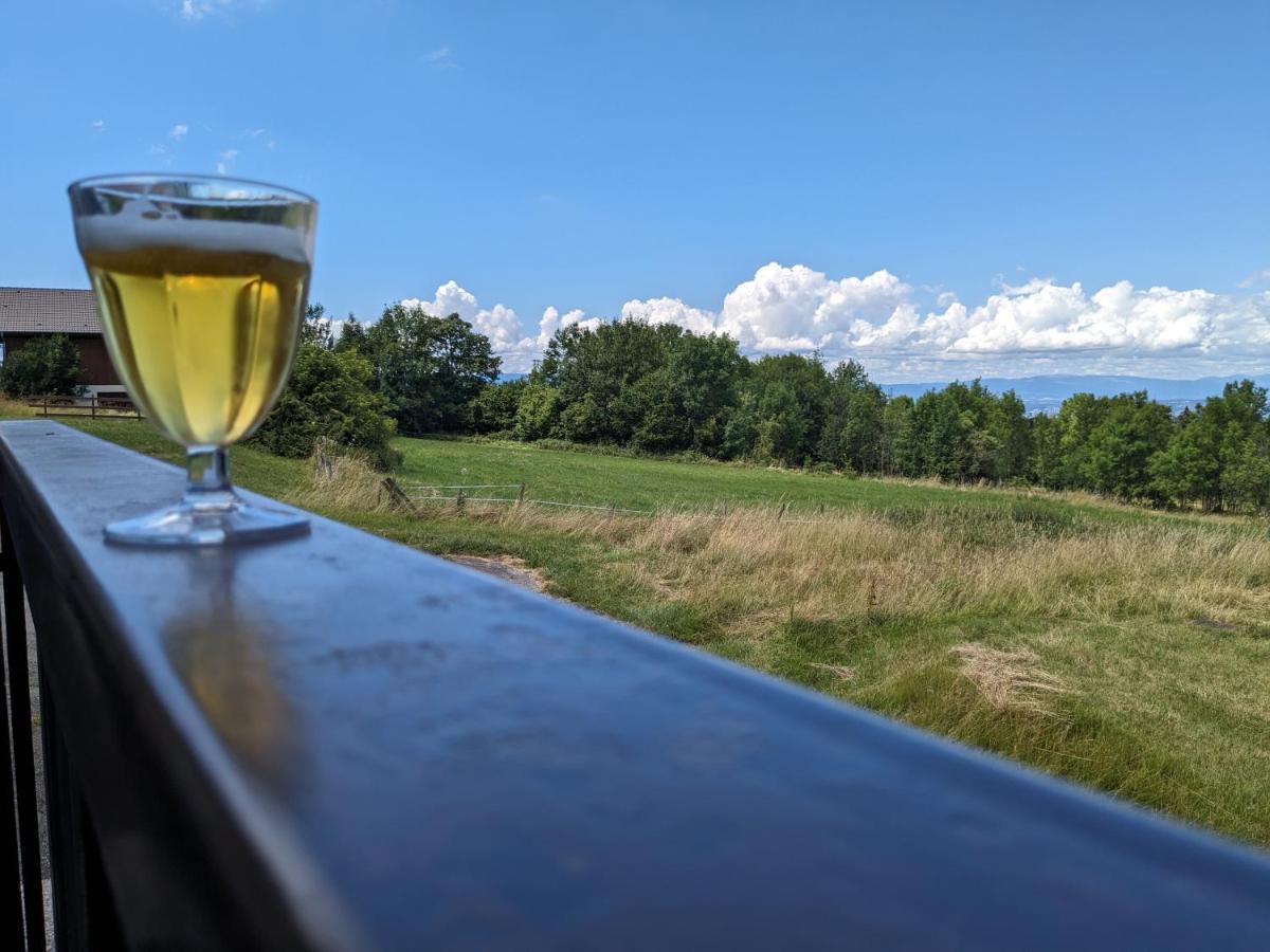 Au Coeur De La Montagne Appartement Thollon-les-Mémises